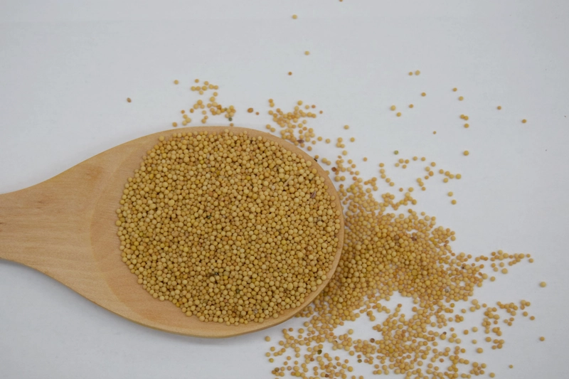 Siervos inútiles: la enseñanza de Jesús sobre la humildad y el servicio entreCristianos Siervos inútiles: la enseñanza de Jesús sobre la humildad y el servicio